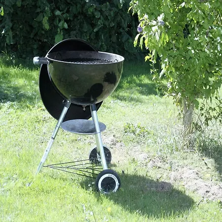 Lilly Lejlighed Schwanau